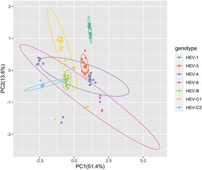 Codon Usage of Hepatitis E Viruses: A Comprehensive Analysis